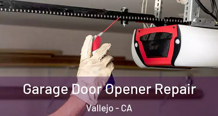  Garage Door Opener Repair Vallejo - CA