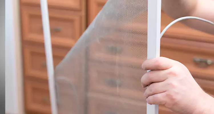 Privacy Mesh Screen Door Installation in Vallejo, CA